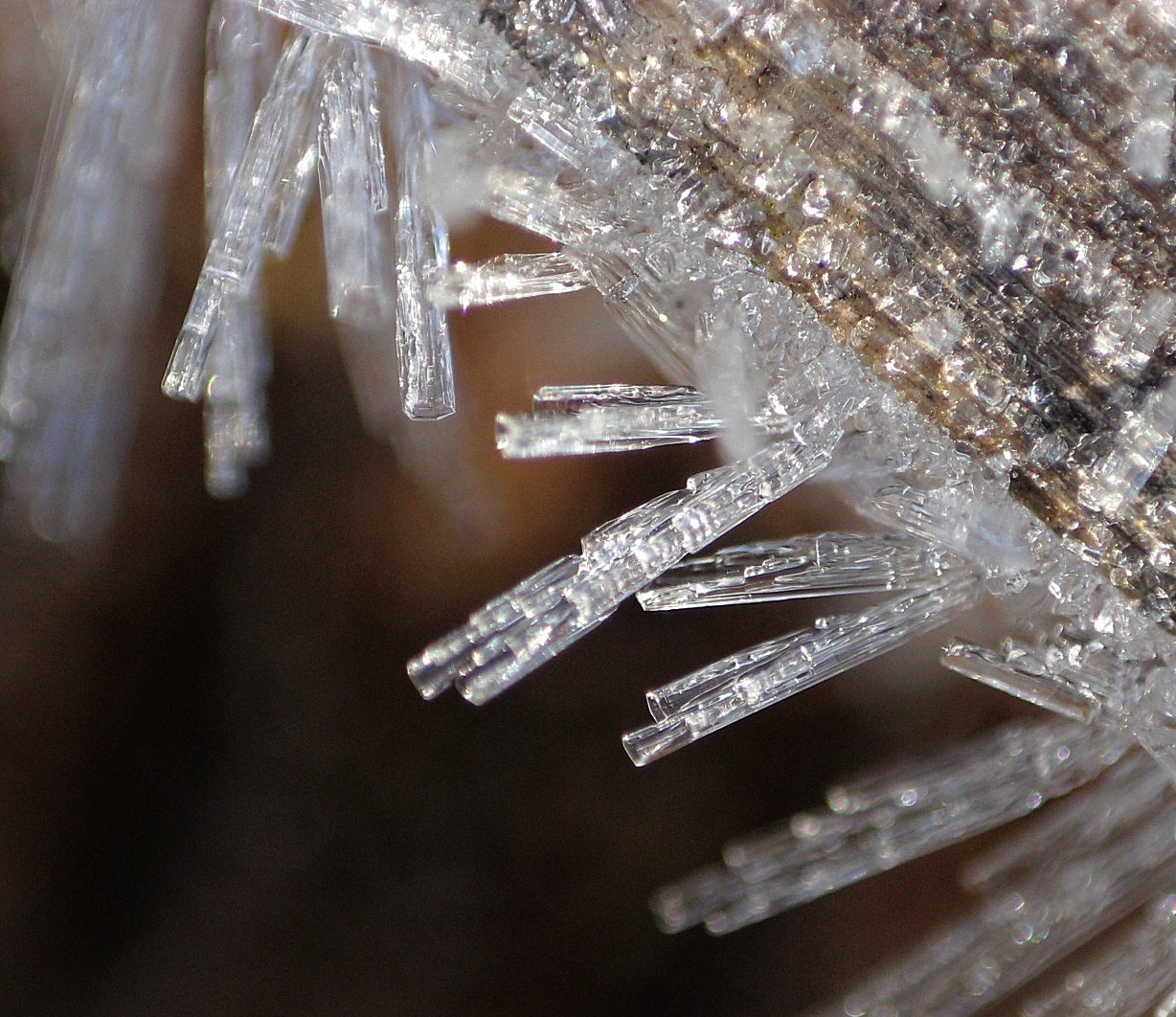 Hosszúkás jégkristályok fűszálon